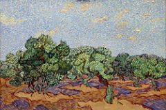14 Olive Trees - Vincent van Gogh 1889 - New York Metropolitan Museum of Art.jpg